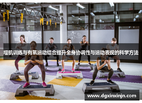 增肌训练与有氧运动结合提升全身协调性与运动表现的科学方法