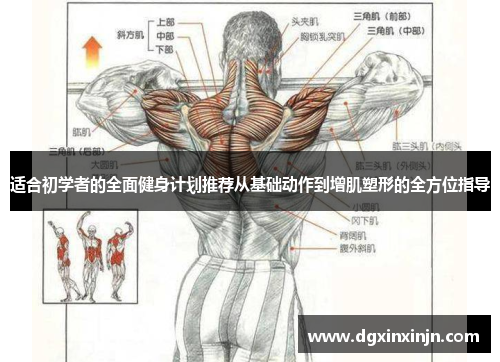 适合初学者的全面健身计划推荐从基础动作到增肌塑形的全方位指导