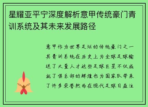 星耀亚平宁深度解析意甲传统豪门青训系统及其未来发展路径