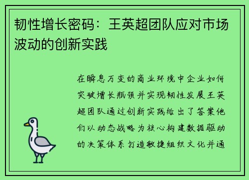韧性增长密码：王英超团队应对市场波动的创新实践